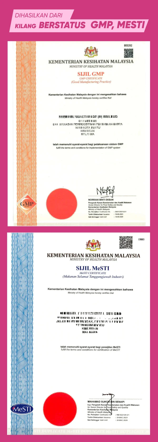 29 Gmp Mesti